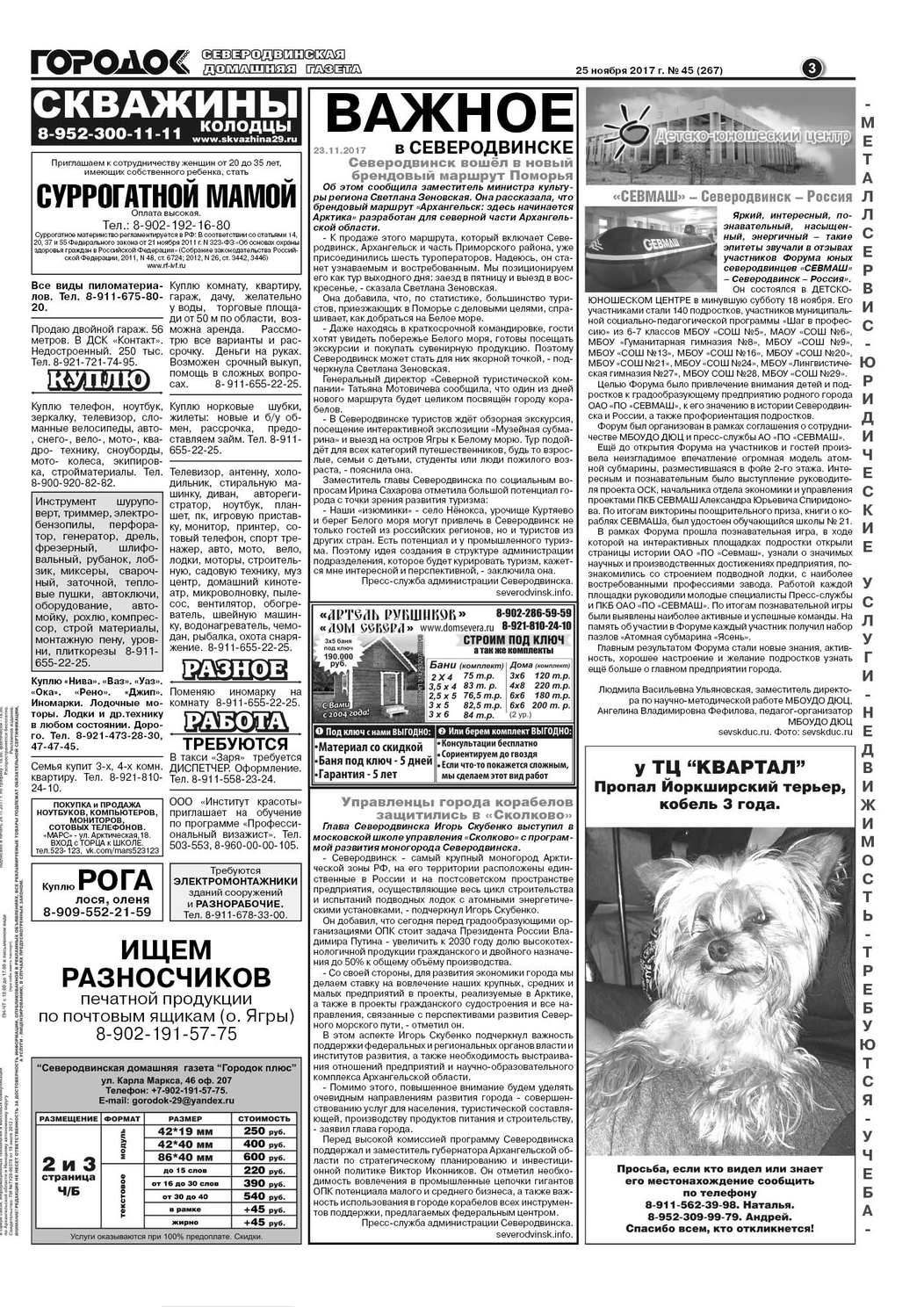 Городок плюс, выпуск номер 45 от 25 ноября 2017 года, страница 3.