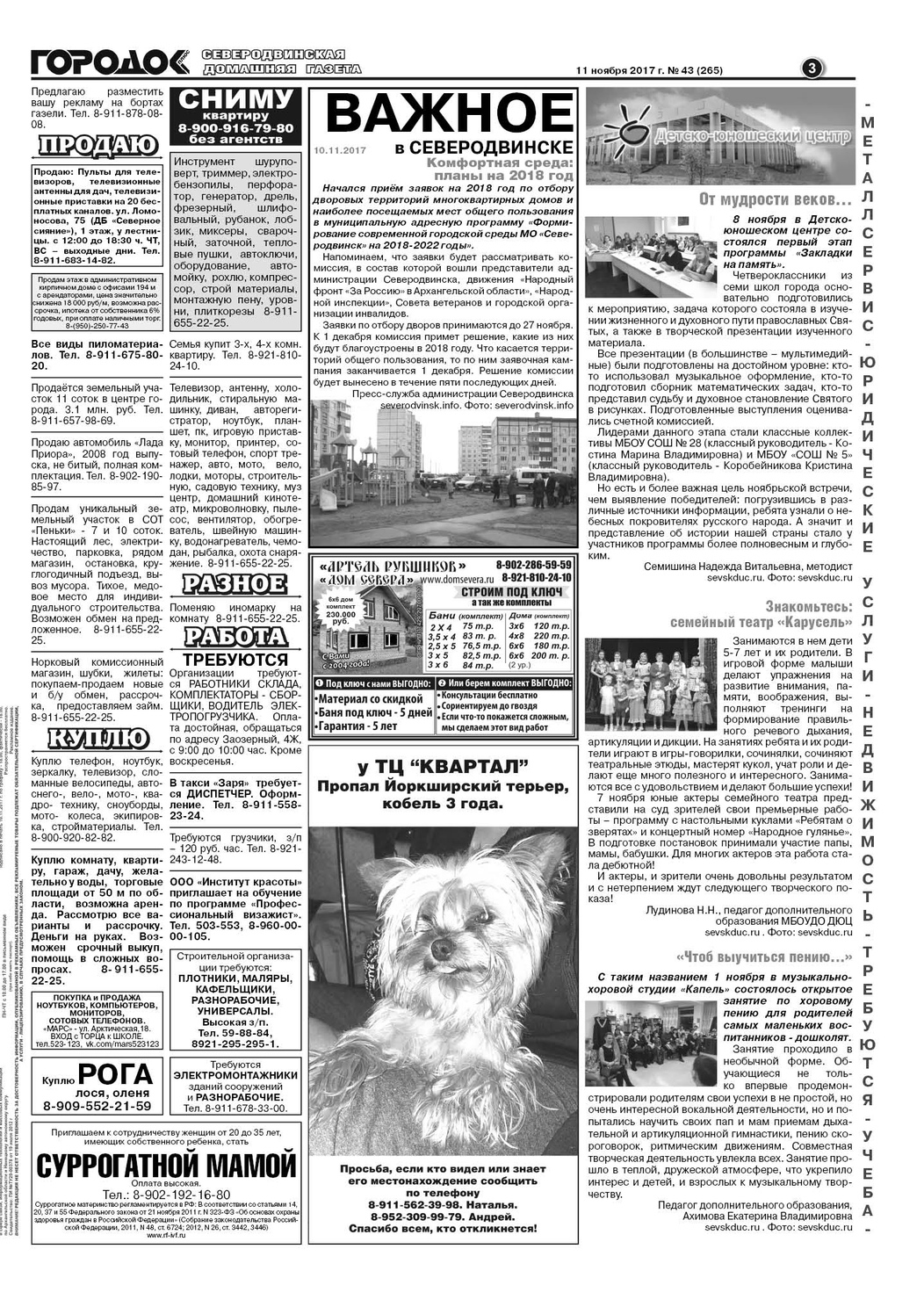 Городок плюс, выпуск номер 43 от 11 ноября 2017 года, страница 3.